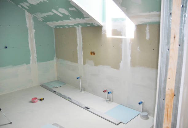 Reliable Pine Beach, NJ Mold Removal Solutions