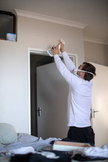 Best Black Mold Removal  in Pine Beach, NJ