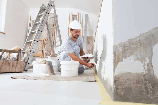Best Biohazard Mold Removal  in Pine Beach, NJ