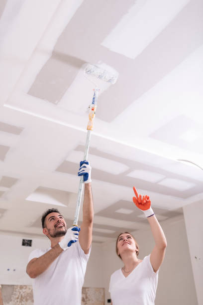Best Industrial Mold Remediation  in Pine Beach, NJ