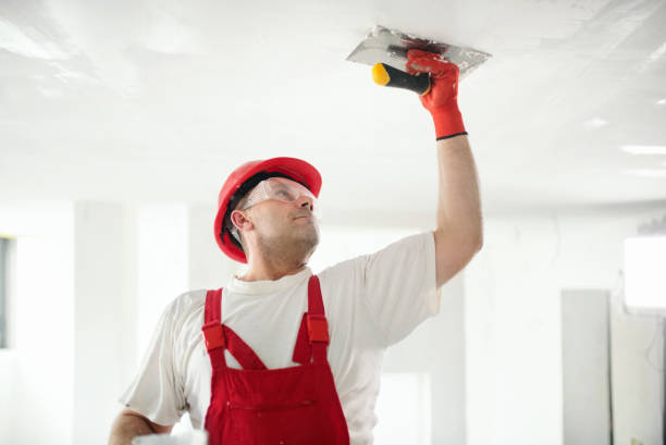 Best Mold Prevention Services  in Pine Beach, NJ