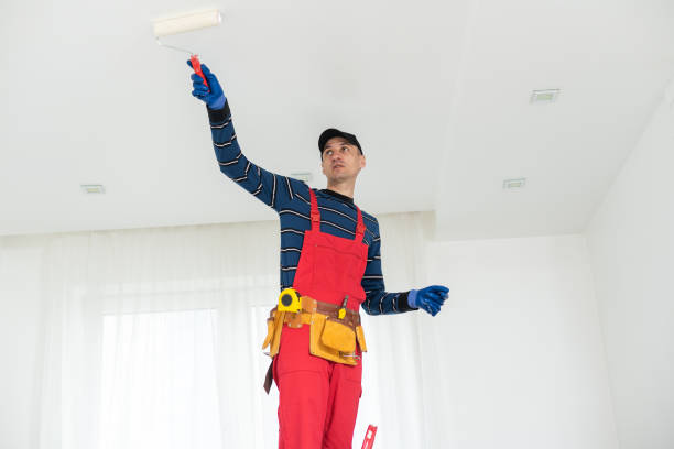 Best Basement Mold Removal  in Pine Beach, NJ