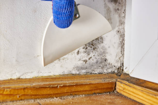 Best Post-Remediation Verification Testing  in Pine Beach, NJ