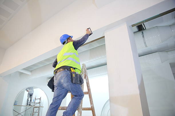 Best Emergency Mold Remediation  in Pine Beach, NJ